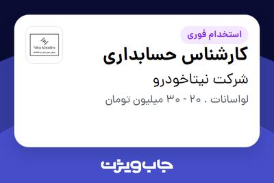  استخدام کارشناس حسابداری در شرکت نیتاخودرو