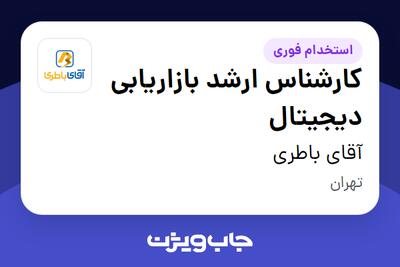  استخدام کارشناس ارشد بازاریابی دیجیتال در آقای باطری