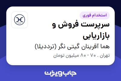  استخدام سرپرست فروش و بازاریابی در هما آفرینان گیتی نگر (ترددیلا)