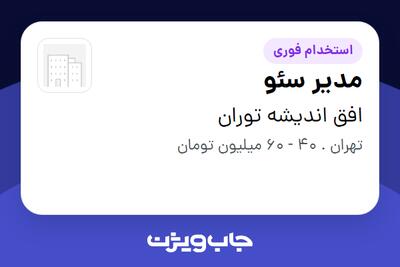  استخدام مدیر سئو در افق اندیشه توران
