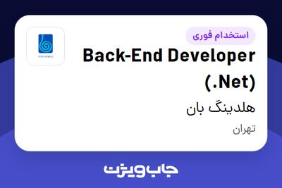  استخدام Back-End Developer (.Net) در هلدینگ بان