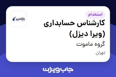  استخدام کارشناس حسابداری (ویرا دیزل) در گروه ماموت