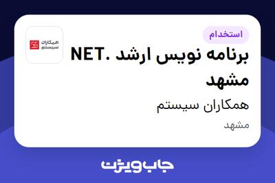  استخدام برنامه نویس ارشد .NET مشهد در همکاران سیستم