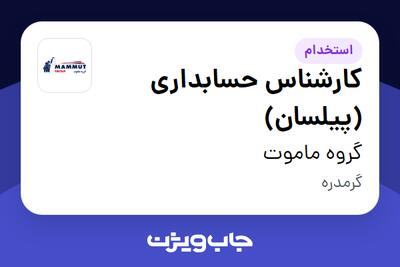  استخدام کارشناس حسابداری (پیلسان) در گروه ماموت