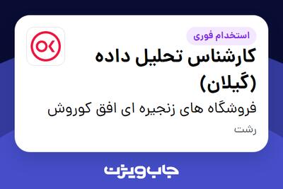  استخدام کارشناس تحلیل داده (گیلان) در فروشگاه های زنجیره ای افق کوروش