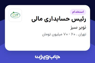  استخدام رئیس حسابداری مالی در نوبر سبز