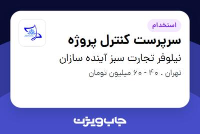  استخدام سرپرست کنترل پروژه در نیلوفر تجارت سبز آینده سازان