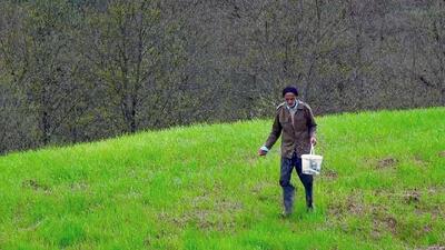  تنهایی و وفاداری قدمعلی در یک روستای خالی