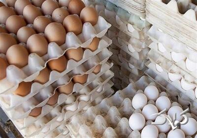  قیمت تخم مرغ در بازار چند؟ - مجله اینترنتی کولاک