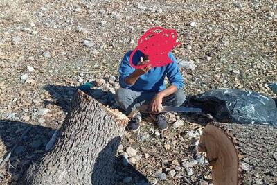  دستگیری متخلف قطع درخت بلوط در منطقه حفاظت‌شده دنا