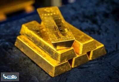  سقوط آزاد قیمت طلا | نفت ما