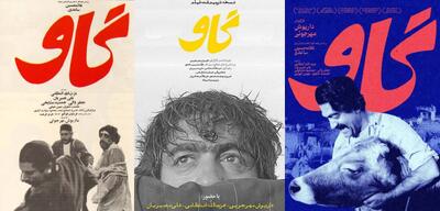  معرفی، نقد و بررسی فیلم «گاو» / کاری از انجمن فیلم طرفداری - پارس فوتبال