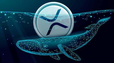  هجوم نهنگ‌ها و انباشت ۱۷۰ میلیون ریپل در کف قیمت؛ روند نزولی XRP متوقف می‌شود؟