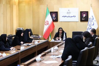  نظارت مستمر بر اجرای فصل زنان و خانواده در برنامه هفتم| سامانه «کارآفَن»؛ اتصال آموزش تا فروش برای مشاغل خانگی زنان