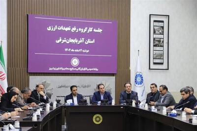  آسیب‌ شناسی اخذ ضمانت‌ نامه بانکی، مشکلات ایفای تعهدات ارزی و نقدینگی صنایع