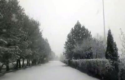  مدارس نوبت عصر اردبیل مجازی شد