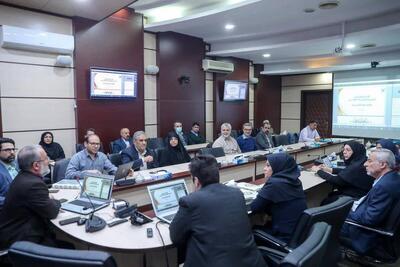  تدوین و بازنگری سرفصل دروس رشته‌های علوم انسانی و هنر دانشگاه آزاد اسلامی در مرحله عملیاتی