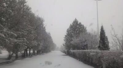  مدارس ابتدایی اردبیل در «نوبت عصر » غیر حضوری شد/تصاویری از بارش رحمت الهی در استان