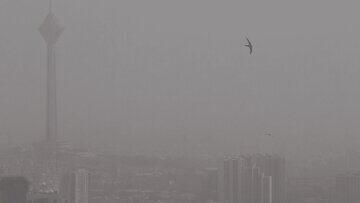  تهران آلوده شد