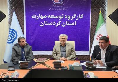  29 هزار نفر در کردستان آموزش مهارت دریافت کردند - تسنیم
