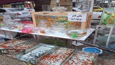  حال و هوای نزدیک به عید و خرید ماهی قرمز در بازار خرم‌آباد + فیلم