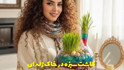  نحوه کاشت سبزه در خاک ژله ای برای عید نوروز + بهترین زمان کاشت