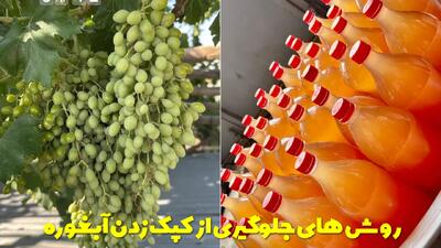  روش های جلوگیری از کپک زدن آبغوره و علت آن + کپک آبغوره با جوشاندن از بین میرود؟