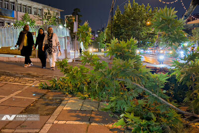  احتمال وقوع طوفان گرد و خاک در تهران