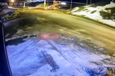  علت سقوط مرگبار دنا در جاده چالوس مشخص شد