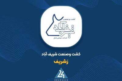  بررسی درآمد 11 ماهه «زشریف»