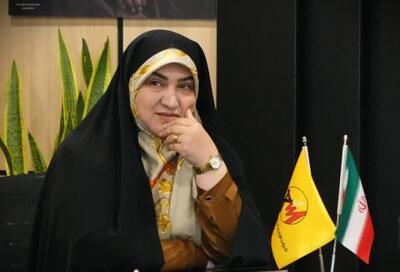  راه‌اندازی سامانه‌های هوشمند توزیع برق؛ گامی موثر در ارتقای شفافیت