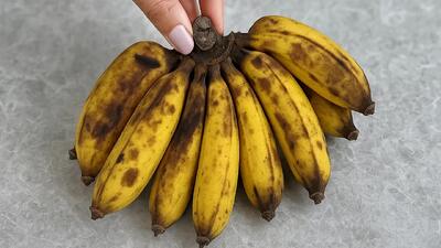  موز های سیاه را دور نریزید / هر چه گندیده تر، ارزشمندتر