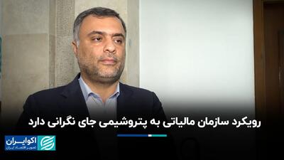  رویکرد سازمان مالیاتی به پتروشیمی جای نگرانی دارد