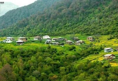  تثبیت ۲ میلیون هکتار از اراضی ملی به نفع مردم - اکونیوز