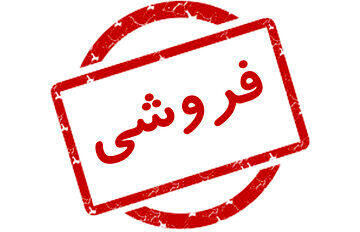  از ماجرای جنین‌های فریز شده تا آگهی فروش/ شرط بازدید: هزار میلیارد در حساب