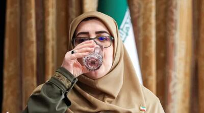  سخنگوی دولت: پس از اصلاحات اقتصادی، وضعیت دهک‌های ۱ تا ۳ در خرید اقلام بهتر شده، اما دهک‌های بعدی در فشار قرار دارند