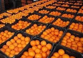  کدام میوه و تره‌بار را با کالابرگ بخریم؟