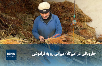 ویدیو/ جاروبافی در امیرکلا؛ میراثی رو به فراموشی