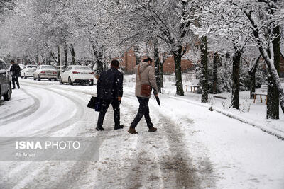  بارش برف زمستانی در اردبیل