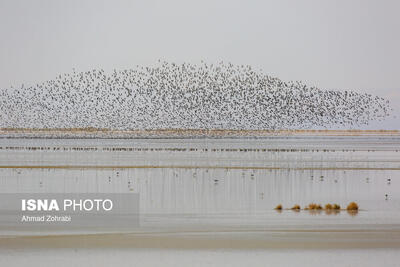  عکس «منتخب هفته»