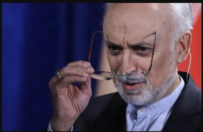  صالحی: بدون اعتماد جهانی هر روز تنهاتر می‌شویم!