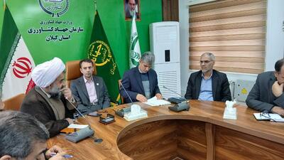  رئیس جهاد کشاورزی گیلان: ۳۴۹ هزار هکتار از اراضی استان مشمول رفع تداخل است