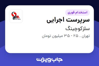  استخدام سرپرست اجرایی در سلزکوچینگ