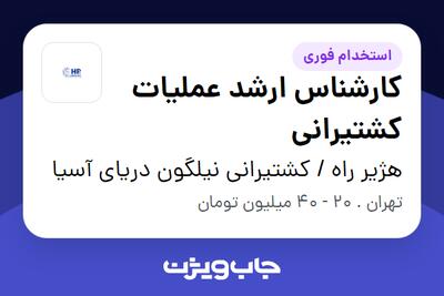  استخدام کارشناس ارشد عملیات کشتیرانی در هژیر راه / کشتیرانی نیلگون دریای آسیا