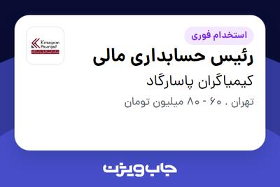  استخدام رئیس حسابداری مالی در کیمیاگران پاسارگاد