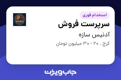  استخدام سرپرست فروش - خانم در آدنیس سازه