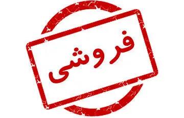  آگهی عجیب فروش یک بیمارستان در تهران؛ ۵۰۰۰ جنین هم روی میز معامله؟/ شرط بازید: ۱۰۰۰ میلیارد در حساب/ «بیمارستان خصوصی صرفا یک ملک تجاری نیست»