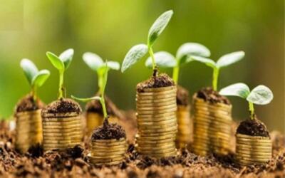  کسب روزی حلال چه اهمیتی دارد؟