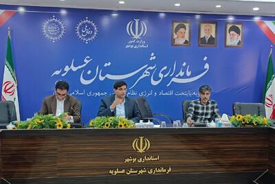  معاون فرماندار عسلویه: پرداخت وام مشاغل خانگی تسهیل شود