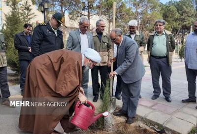  هر شهروند در استان سمنان ۳درخت بکارد؛ ضرورت نگهداری پس از کاشت نهال‌ها